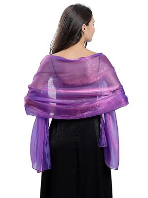 Women Silky Sheer Shawls and Wraps Shimmer Organza Pashmina Scarf for Evening Dresses Wedding Costume Party
