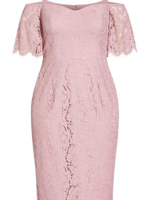 Women's Apparel Women's Plus Size Dress Lace Whisper