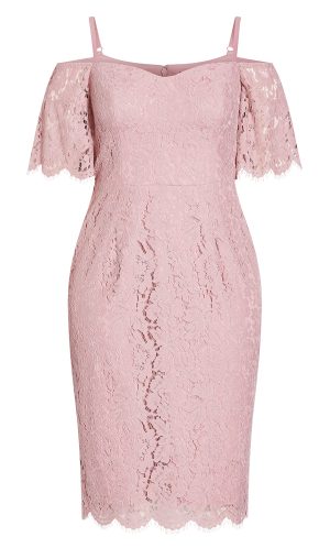 Women's Apparel Women's Plus Size Dress Lace Whisper