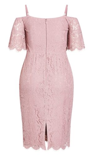 Women's Apparel Women's Plus Size Dress Lace Whisper